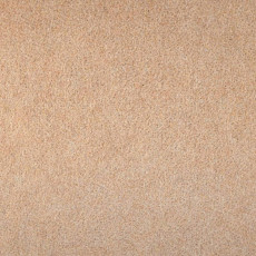 Ковролин Tapisom 600 Beige - 600 416002009 00021 фото 1 | FLOORDEALER